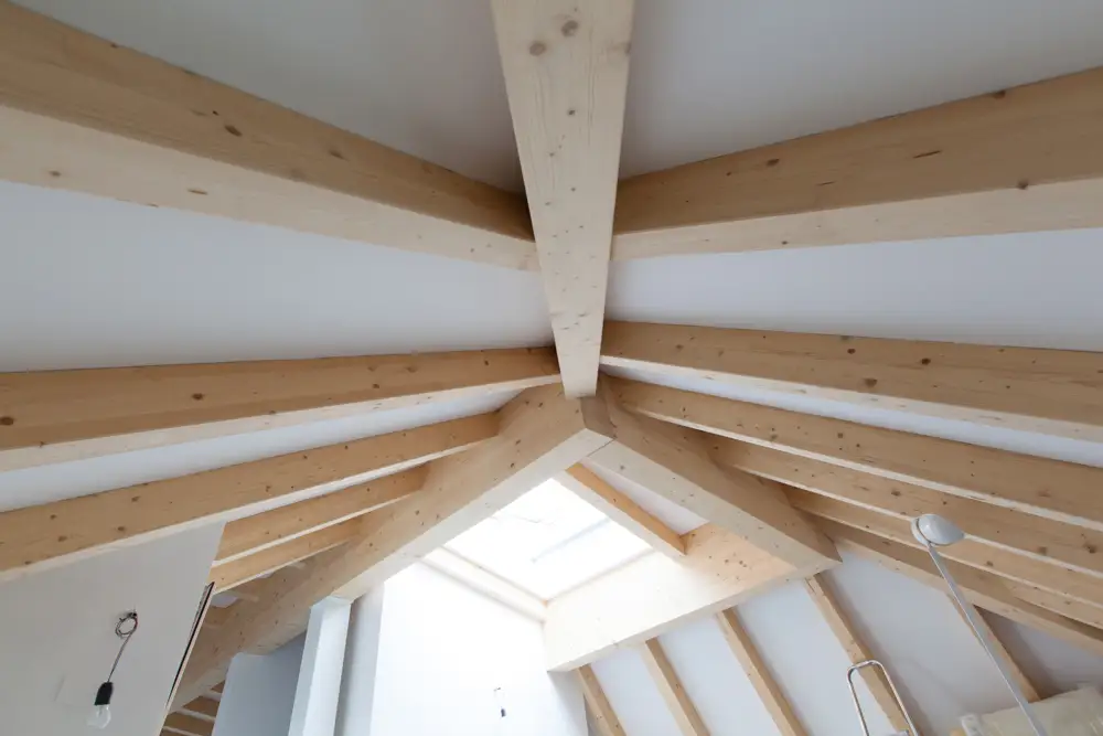 Costruzioni In Telaio 1